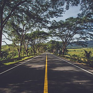 Eine Straße mit gelben Mittelstreifen mit Bäumen am Straßenrand